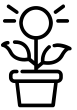 Pasėlių draudimas